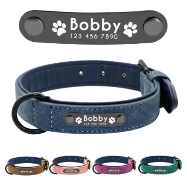 Dog & Cat Collars