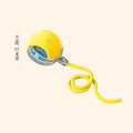 Smart Dog Toys Ball Electronng for