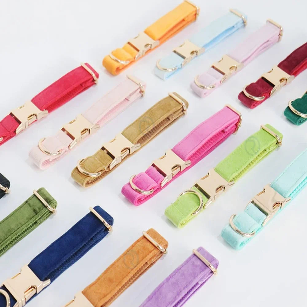 Custom Engraved Pet Collars