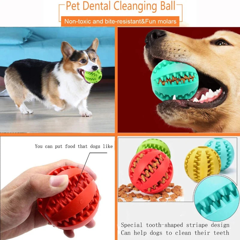 ChewTreat™ Interactive Dental Dog Ball
