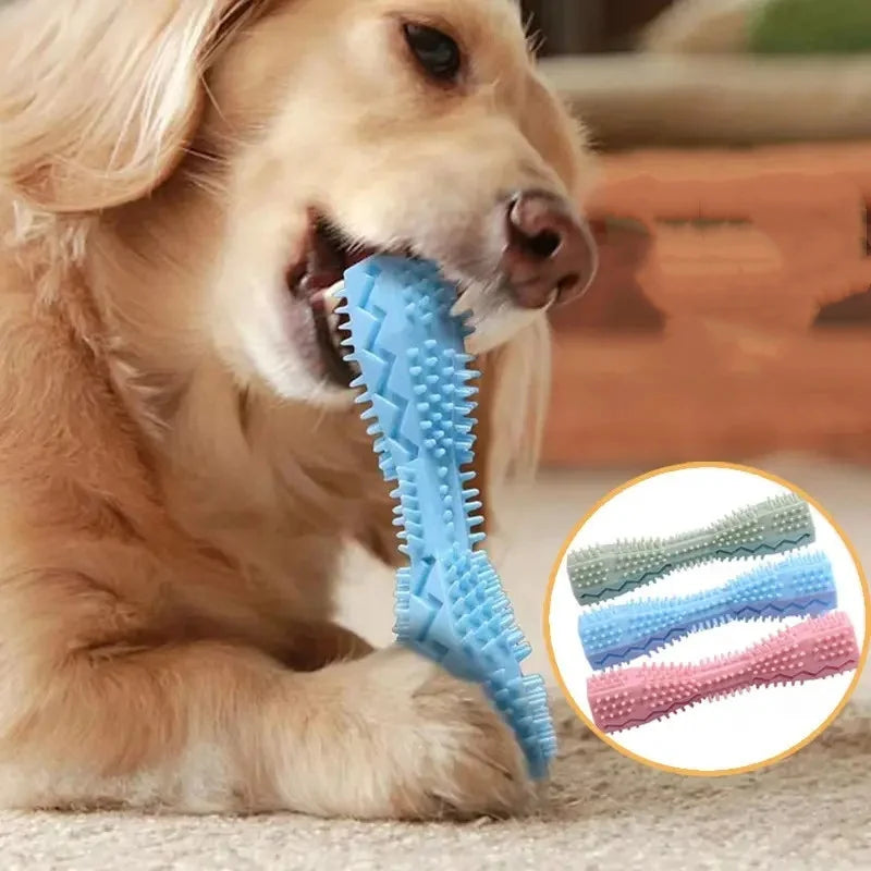 Dog Teething Toy Chew