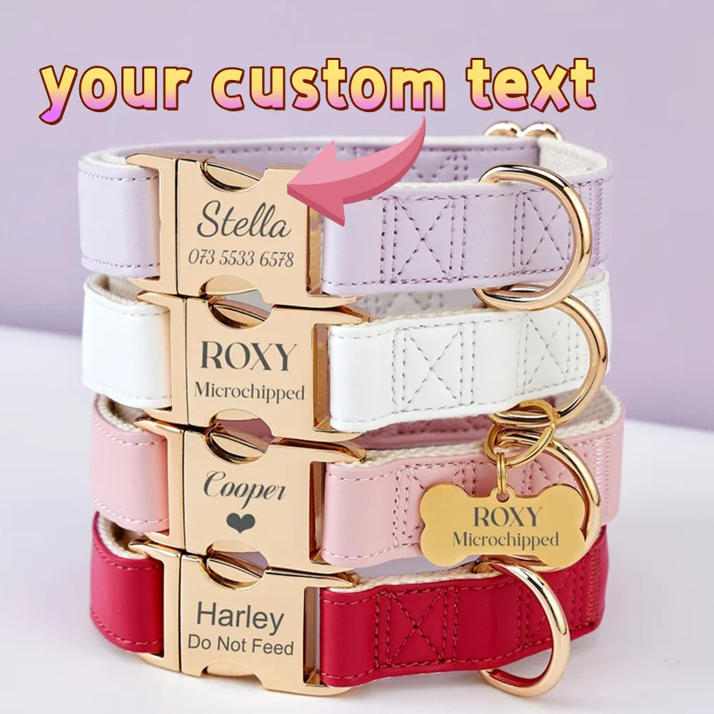 Custom Engraved Pet Collars