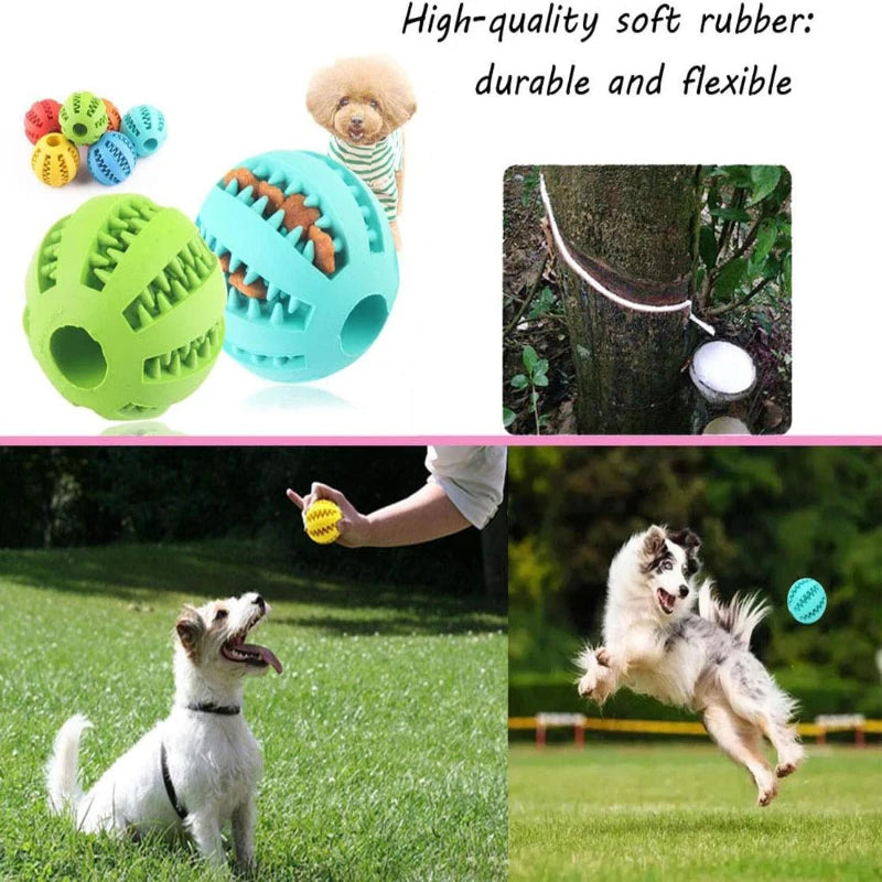 ChewTreat™ Interactive Dental Dog Ball