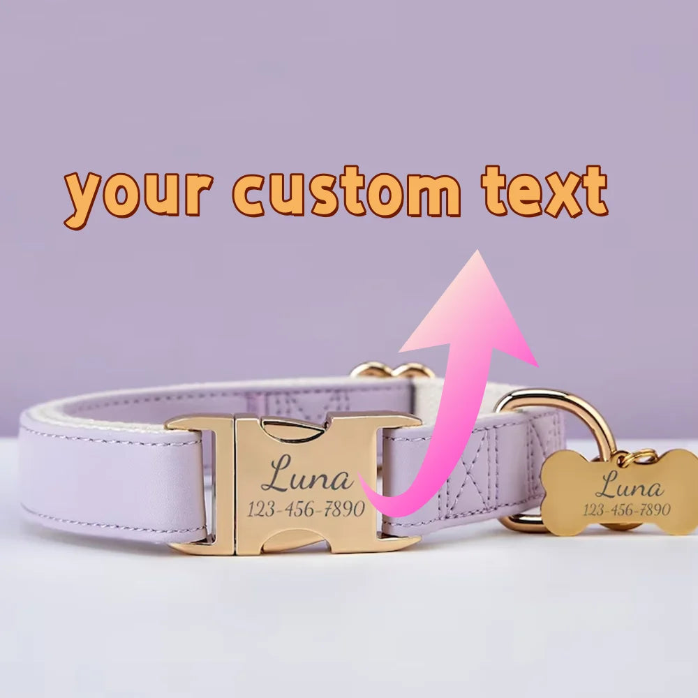 Custom Engraved Pet Collars