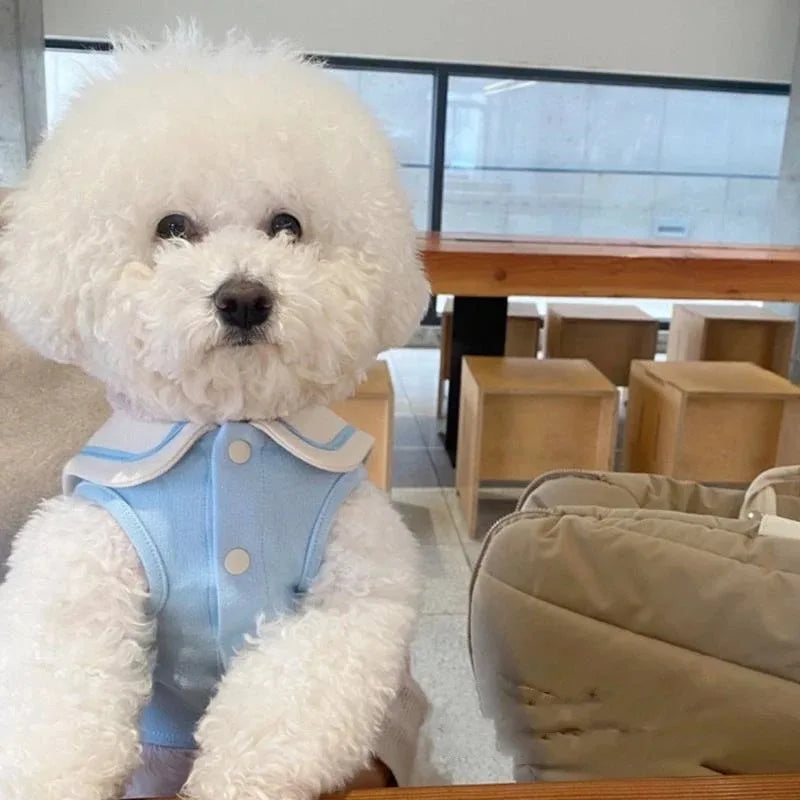 UrbanPaws™ Warm Dog Sweatshirt