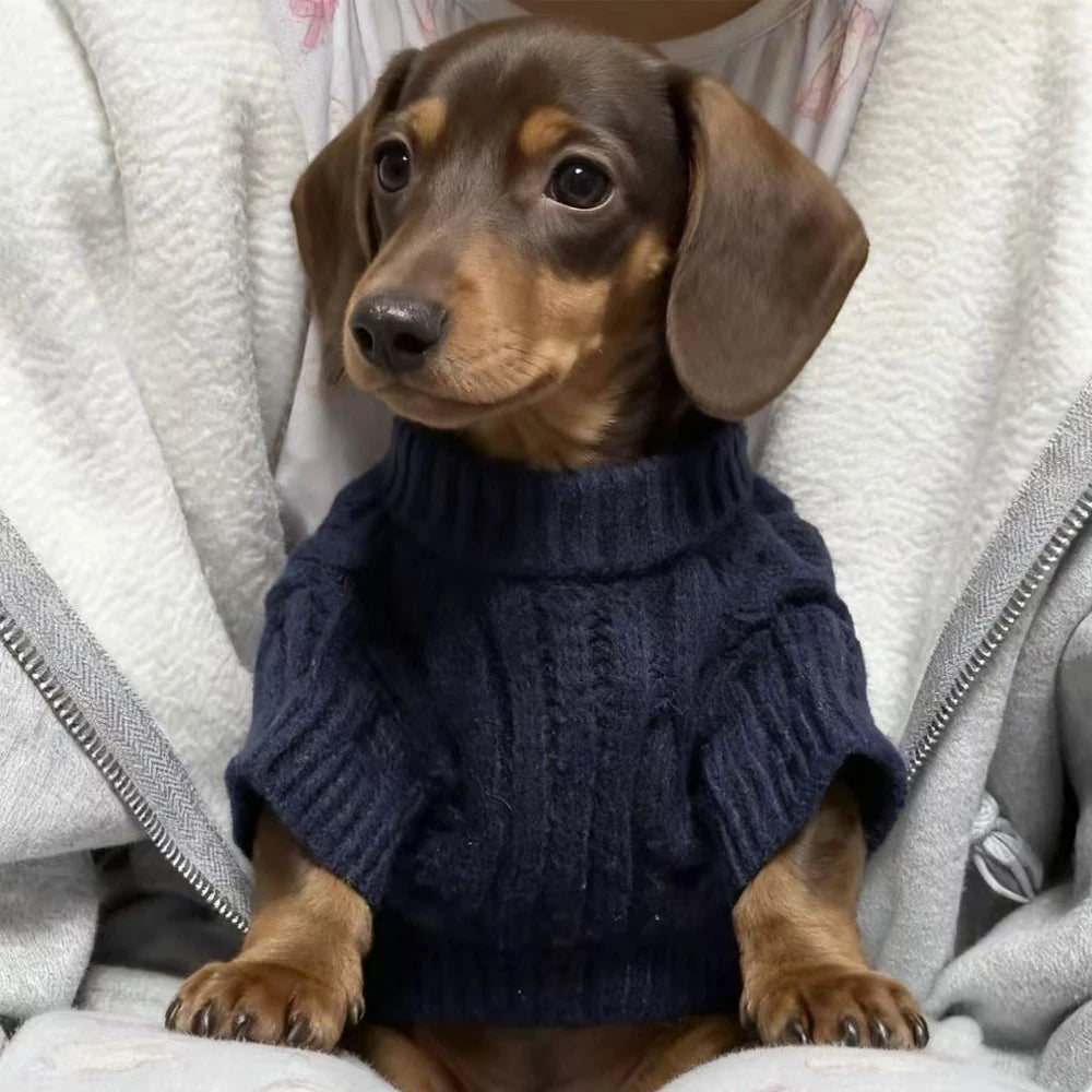 UrbanPaws™ Warm Dog Sweatshirt