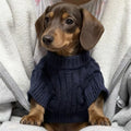 UrbanPaws™ Warm Dog Sweatshirt