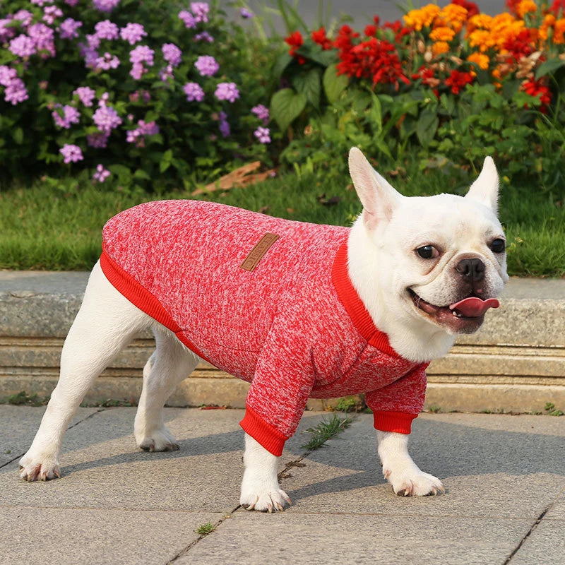 UrbanPaws™ Warm Dog Sweatshirt